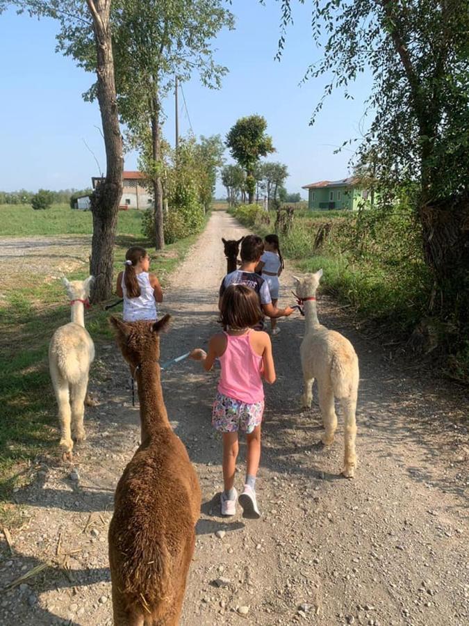Pirola Music Ranch Guest House B&B Romano di Lombardia Ngoại thất bức ảnh